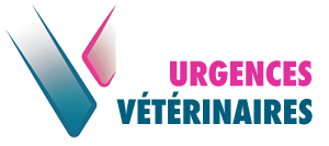 Urgence VETERINAIRE à Lyon