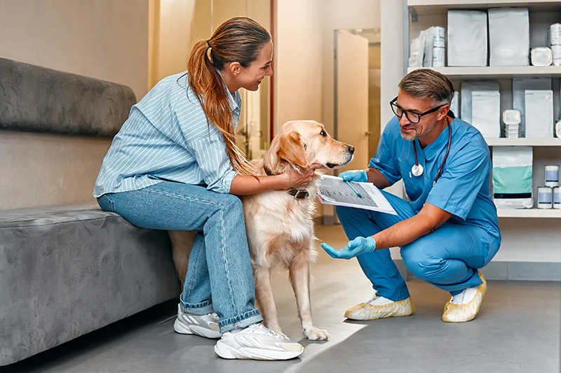 Urgences VETERINAIRES Lyon 24h/24