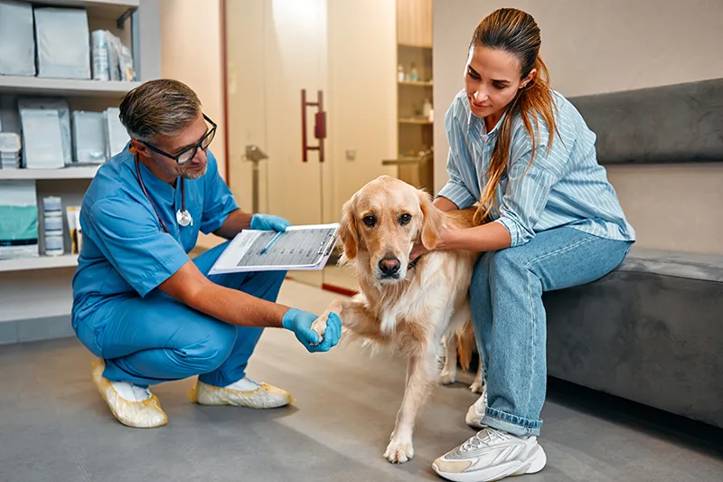 Urgences VETERINAIRES Lyon 24h/24