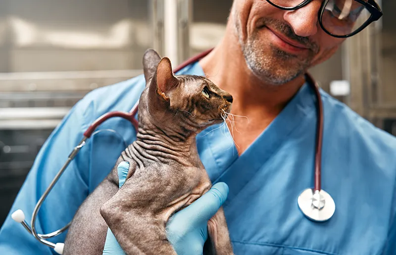 Urgences VETERINAIRES Lyon 24h/24