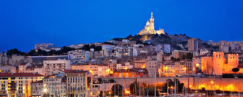 Urgence vétérinaire Marseille 24h/24 et 7j/7