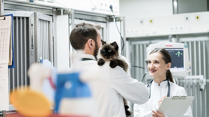 Clinique Vétérinaire de Garde Lyon