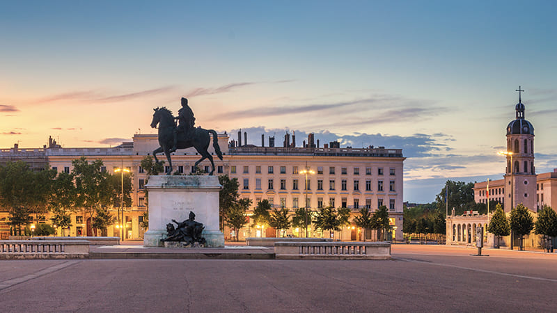 Vétérinaire à domicile Lyon et Métropole