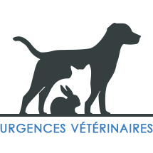 Urgences VETERINAIRES Lyon