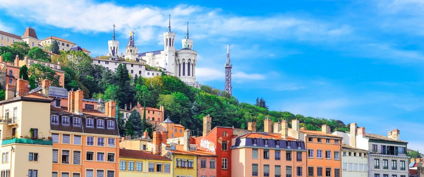 Urgences VETERINAIRES Lyon Urgences VETERINAIRES Lyon 24h/24